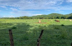 9648+V5G, Provincia de Guanacaste, Huacas, Costa Rica, Tamarindo, Guanacaste Province