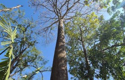 Lote el Rio Belen, Belen, Heredia Province 50207