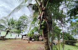 TERRENO EN BUENOS AIRES: Home Construction Site For Sale in Buenos Aires, Buenos Aires, Puntarenas