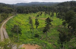 ruta 256 s/n, Cahuita, Talamanca, Limon, Talamanca, Limon 70403