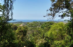 Exceptional 71-Acre Ocean View & Riverfront Development Property in Hatillo , Dominical, Puntarenas, Costa Rica, Dominical, Puntarenas Province 60602