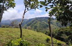 Lote en San Juan Bosco, Perez Zeledon, Costa Rica: Countryside Home Construction Site For Sale in Daniel Flores, Daniel Flores, San José