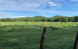 La Garita Nueva , Tamarindo, Santa Cruz, Guanacaste, Santa Cruz, Guanacaste 50309