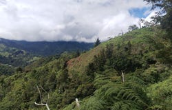 Herradura de Rivas, Pérez Zeledón, San José, Pérez Zeledón, San José