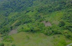 Miramar , Piedras Blancas, Osa, Puntarenas, Osa, Puntarenas