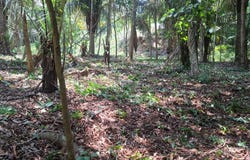 Lot 209 Costa Esterillos Estates, Esterillos, Puntarenas, Esterillos, Puntarenas