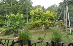Calle Paraiso, Limón Talamanca Sixaola Paraíso, Limón Province 70402