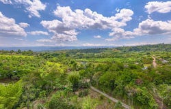 Finca Pura Vida , Cajón, Perez Zeledon, San Jose, Perez Zeledon, San Jose