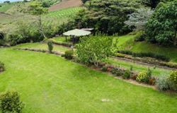 Cot, Oreamuno, Cartago, Oreamuno, Cartago