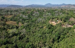 Finca Cobano. Santa Teresa: Near the Coast Agricultural Land For Sale in Santa Teresa, Santa Teresa, Puntarenas