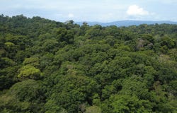 Manzanillo, Talamanca, Limón Costa Rica, Talamanca, Limon, Talamanca, Limon