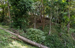 Santa Teresa Beach, Puntarenas Province, Puntarenas Province