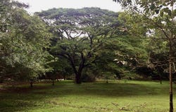 Orotina, Orotina, Alajuela, Orotina, Alajuela