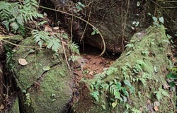San Blas de General Viejo, Perez Zeledon, San Jose, Costa Rica, Pérez Zeledón, San José, Pérez Zeledón, San José