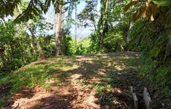 Exceptional 71-Acre Ocean View & Riverfront Development Property in Hatillo , Dominical, Puntarenas, Costa Rica, Dominical, Puntarenas Province 60602