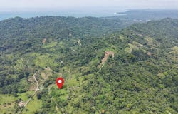 M598+9M, Cahuita, Limón Province
