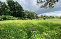 XQ93+72X, C. el Bajo, Provincia de Alajuela, Guácima, Guacima Arriba, Costa Rica, Guácima, Alajuela Province