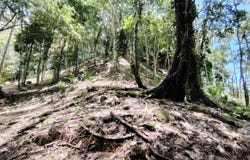 Hatillo de Savegre, Puntarenas, Costa Rica, Savegre, Puntarenas, Savegre, Puntarenas