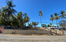 ROBLE PUNTARENAS, Puntarenas, Puntarenas, Puntarenas, Puntarenas