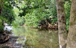 Golfito>Pavones, Pavones, Puntarenas, Pavones, Puntarenas