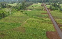 chachagua, san carlos, Alajuela, San Carlos - La Fortuna, Alajuela, San Carlos - La Fortuna, Alajuela