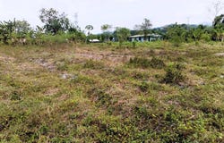 San Rafael norte , Parrita, Parrita, Puntarenas, Parrita, Puntarenas