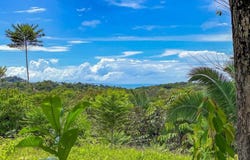 Calle del Cacique , Puerto Cortés, Osa, Puntarenas, Osa, Puntarenas 60501