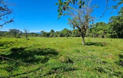 Permaculture Lot 2 , General, Perez Zeledon, San Jose, Perez Zeledon, San Jose 11902