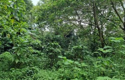Sarchí Norte, Valverde Vega, Alajuela, Alajuela