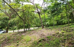 s/n, Tempate, Santa Cruz, Guanacaste, Santa Cruz, Guanacaste 50304