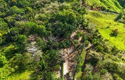 32 Acre Self Sustainable Farm with House Close Ojochal, Ojochal, Puntarenas