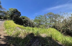 Buenos Aires, Palmares, Alajuela, Alajuela