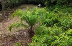 Lot 53, Costa Azul, Tres Rios, Puntarenas, Tres Rios, Puntarenas