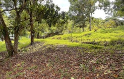 Los Alfaro, Quepos, Puntarenas, Quepos, Puntarenas, Quepos, Puntarenas