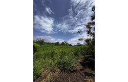 Alajuela, san Carlos, la Tigra, San Carlos - La Tigra, Alajuela, San Carlos - La Tigra, Alajuela