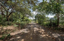 Calle Aeropuerto, Nosara, Guanacaste Province