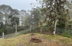 Damita de El Guarco, El Guarco, San Isidro, Cartago, Costa Rica, El Guarco, Cartago, El Guarco, Cartago