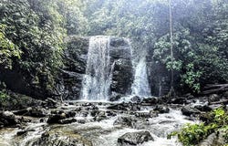 Unnamed Road, Savegre de Aguirre, Puntarenas Province