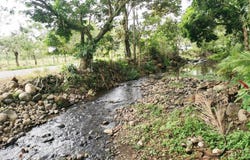 Florencia, San Carlos, Alajuela, San Carlos, Alajuela