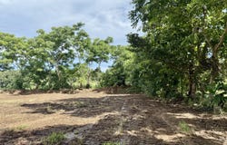 Golfito>Pavones, Pavones, Puntarenas, Pavones, Puntarenas
