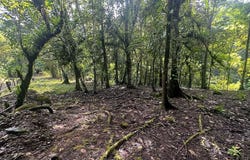 Portalon, Aguirre, Quepos, Aguirre, Puntarenas, Aguirre, Puntarenas