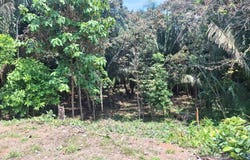 Lot 209 Costa Esterillos Estates, Esterillos, Puntarenas, Esterillos, Puntarenas