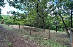 Altos de Pinilla , Tamarindo, Santa Cruz, Guanacaste, Santa Cruz, Guanacaste 50309