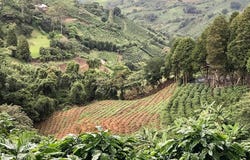 Grecia, Grecia, Alajuela, Grecia, Alajuela