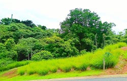 Hacienda Natura, Naranjo, Alajuela, Naranjo, Alajuela