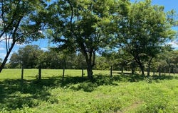 Hacienda Ruiseg Largo: A 784-Acre Ranch in the Heart of Guanacaste, Costa Rica â€“ Your Ideal Investment Opportunity, Liberia, Guanacaste 50101