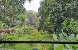 Gandoca s/n, Cahuita, Talamanca, Limon, Talamanca, Limon