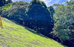 San Juan, Poas, Alajuela, Alajuela