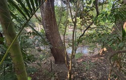 Atenas, Atenas, Alajuela, Atenas, Alajuela