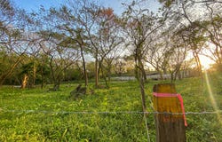 X86V+H9V, Del Mar Pathway, Provincia de Guanacaste, Nosara, Costa Rica, Nicoya, Guanacaste Province